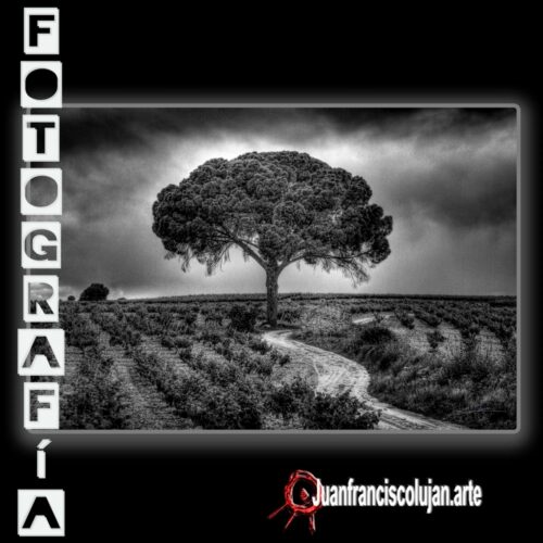 jf_0004_lj 0004