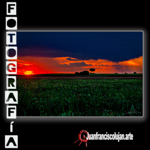 jf_6675b_lj 6675b