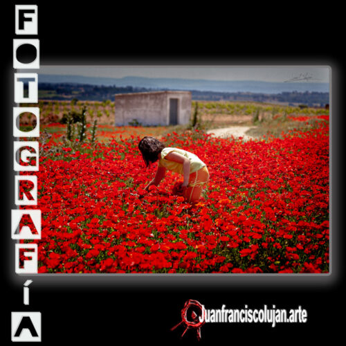 jf_9496_lj 9496