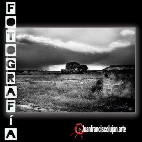 jf_9531_lj 9531